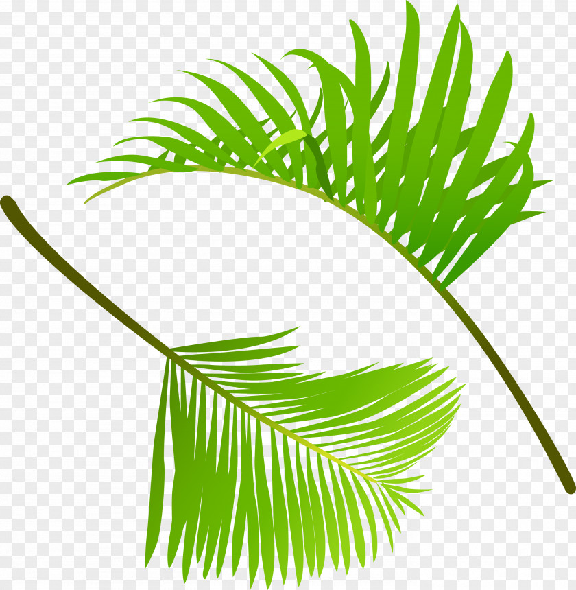 Green Leaves Leaf Clip Art PNG