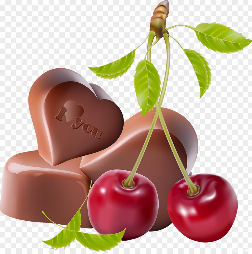 Java Plum PNG