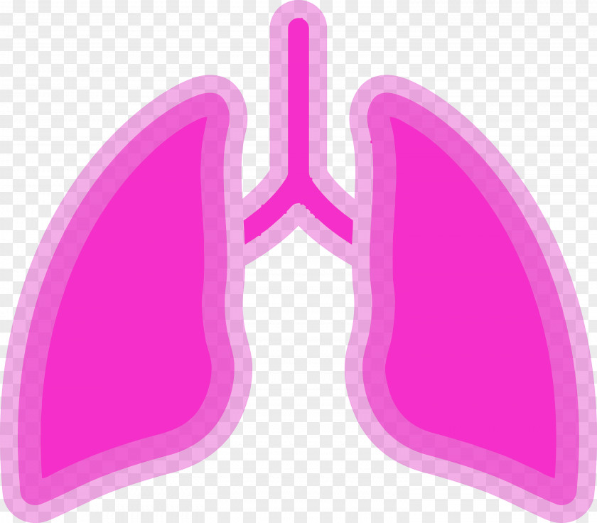 Lung Medical Healthcare PNG