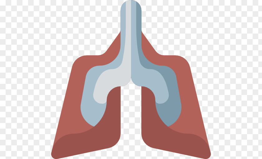 Lungs Lung PNG