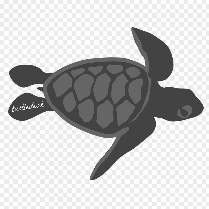 Turtle Graphic Design Art PNG