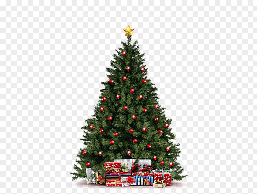 Christmas Tree Artificial Ornament Pine PNG