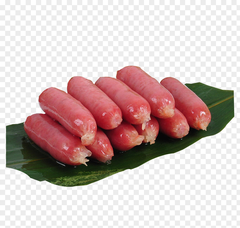 Delicious Sausage Hot Dog Bratwurst Ham Barbecue PNG