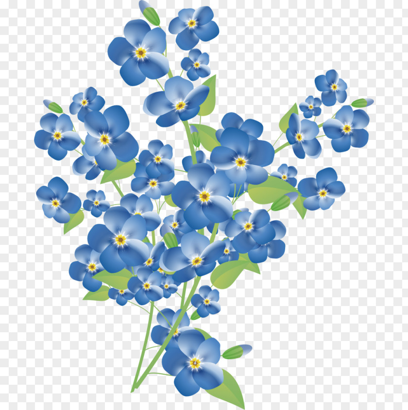 Delphinium Texas Bluebonnet Watercolor Flower Background PNG