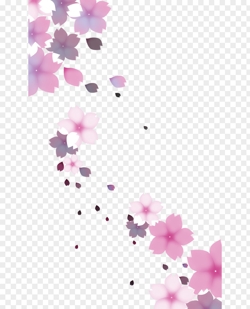 Falling Cherry Blossom Flower PNG