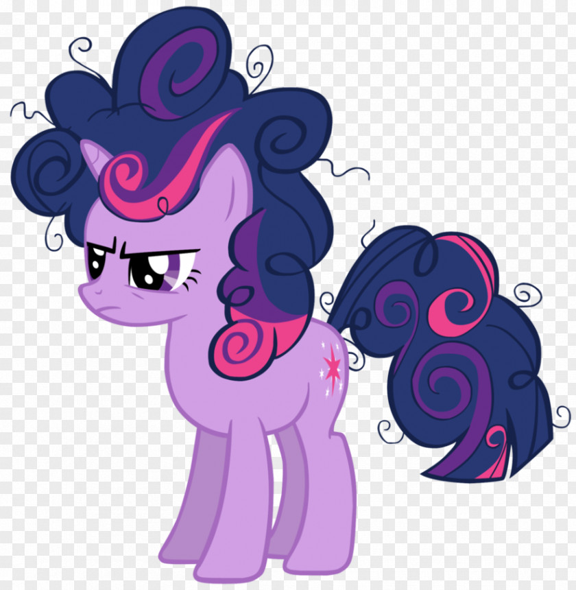 Mane Twilight Sparkle Rarity My Little Pony PNG