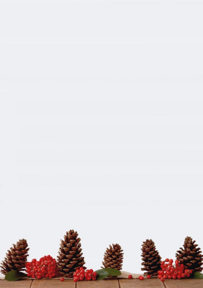 Pine Cone Common Holly Christmas Decoration Ornament Tree PNG