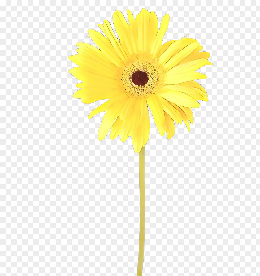 Sunflower PNG