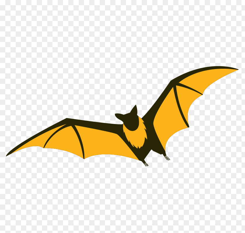 Bat Flight Drawing Illustration Vector Graphics PNG