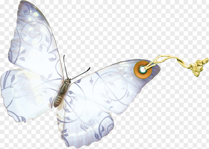 Butterfly Brush-footed Butterflies Insect Silkworm Wing PNG