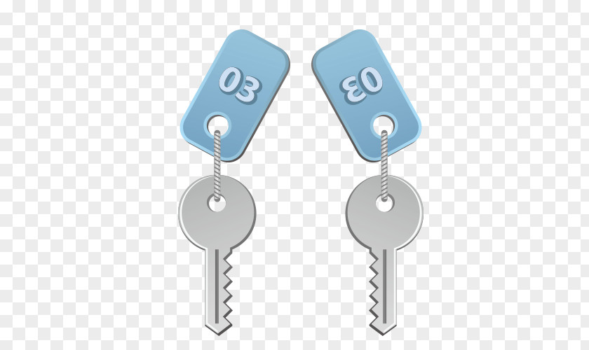 Cartoon Keys Key Euclidean Vector Computer File PNG