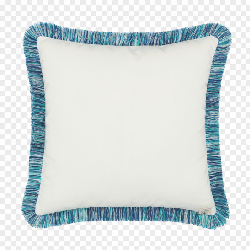 Dragonfly Throw Pillows Turquoise Cushion Teal PNG