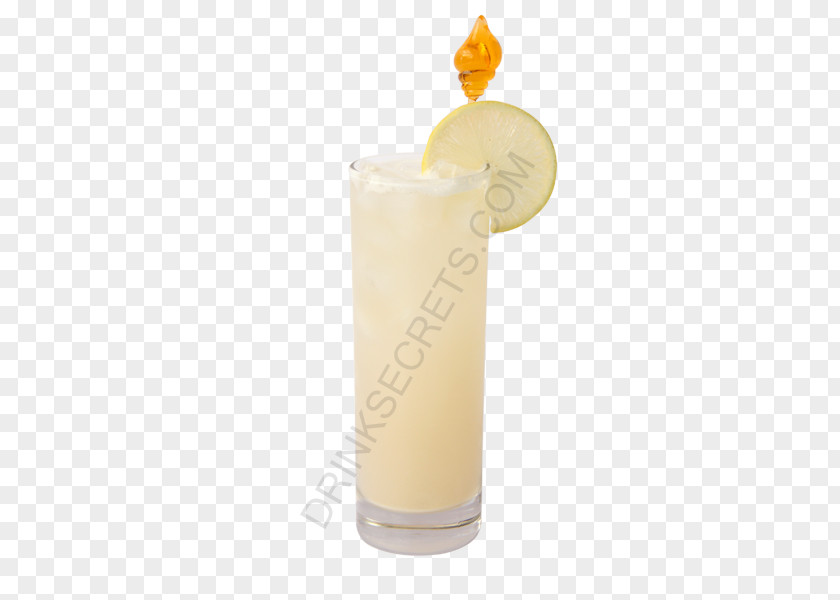 Drinking Coconut Harvey Wallbanger Piña Colada Cocktail Garnish Fuzzy Navel Batida PNG