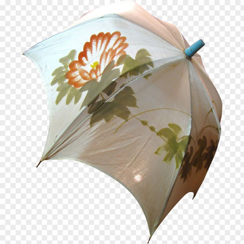 Umbrella Leaf PNG