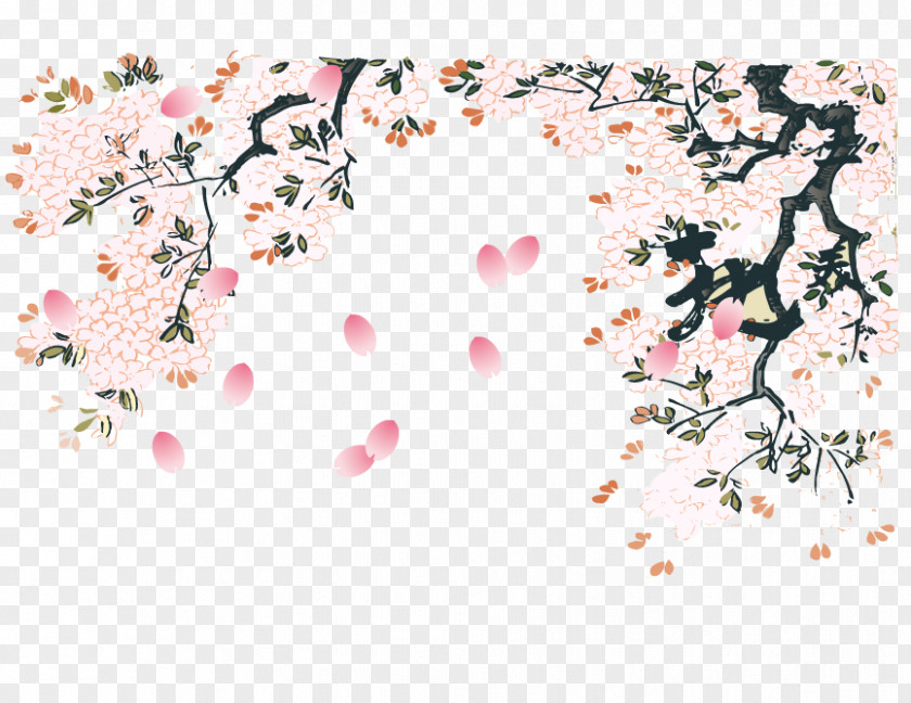 Winter Plum Cherry Blossom Flower PNG
