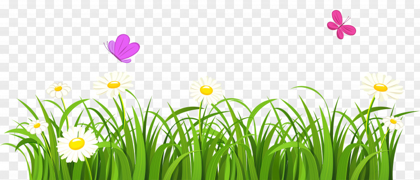 Cliparts Grass Border Grasses Flower Clip Art PNG