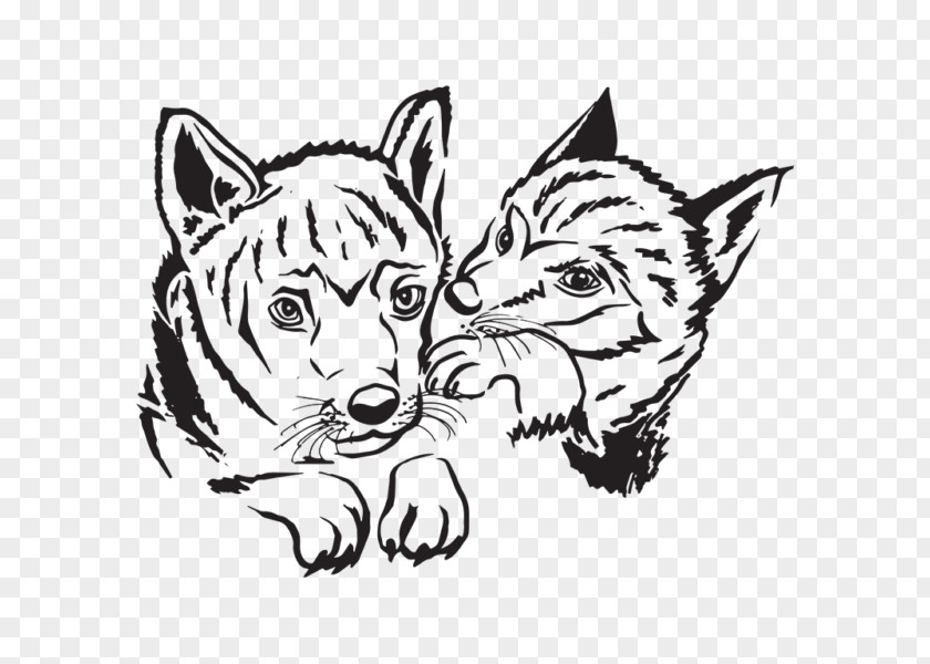 Eurasian Lynx Whiskers Cat Red Fox Line Art Sketch PNG