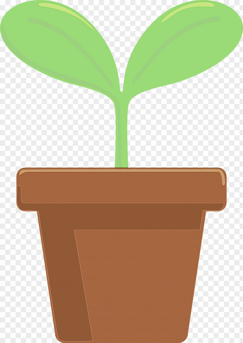 Flowerpot Green Leaf Plant Houseplant PNG