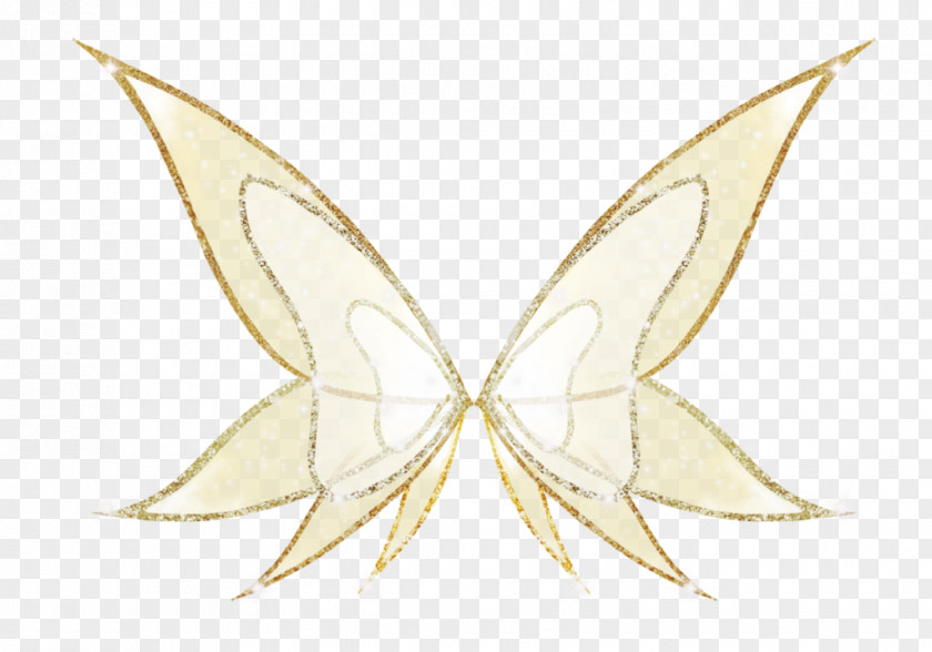 Line Moth Symmetry Art Pattern PNG