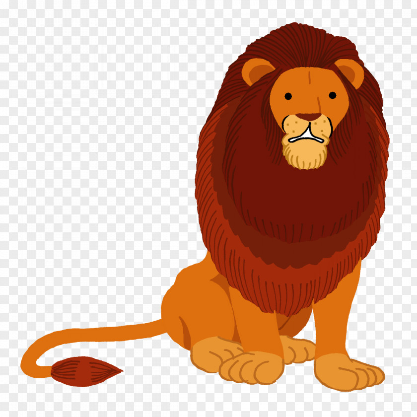 Lion Illustration Drawing AbulÉdu XML PNG