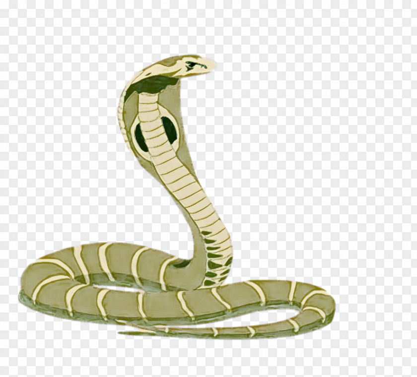 Naga Panchami Naaga Pujaa PNG