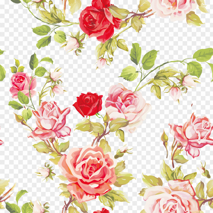 Rose Family Plant Garden Roses PNG