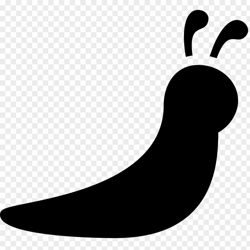 Snail Slugs And Snails Clip Art PNG