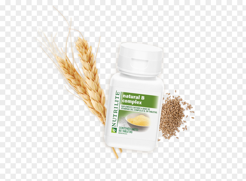 Wheat Cereal Germ Grasses Commodity PNG