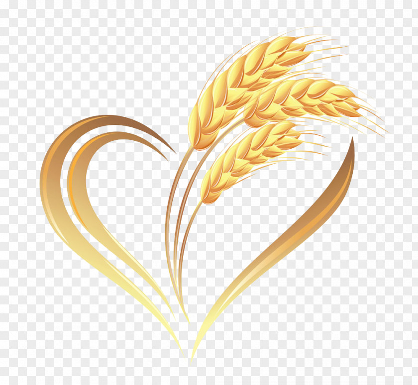 Wheat Ear Logo Cereal PNG