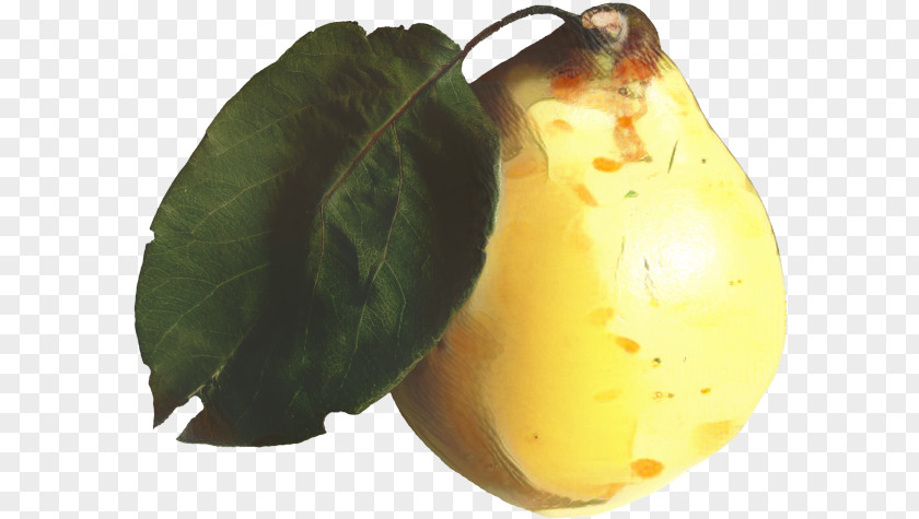 Food Pear Fruit Tree PNG
