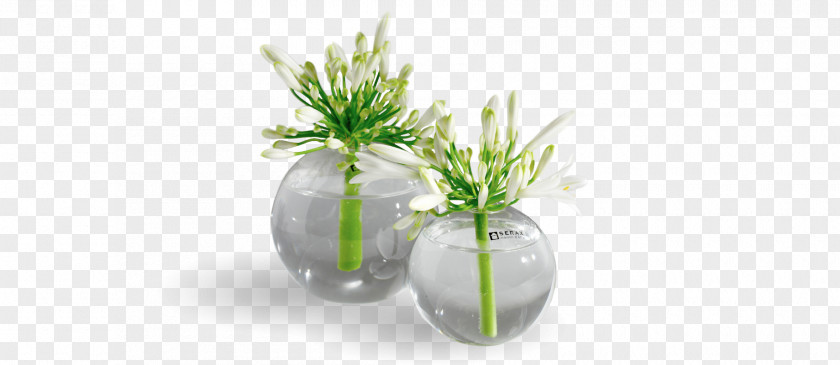 Vase Glassblowing Flowerpot Lead Glass PNG