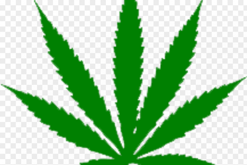 Cannabis Medical Clip Art Legality Of Hemp PNG