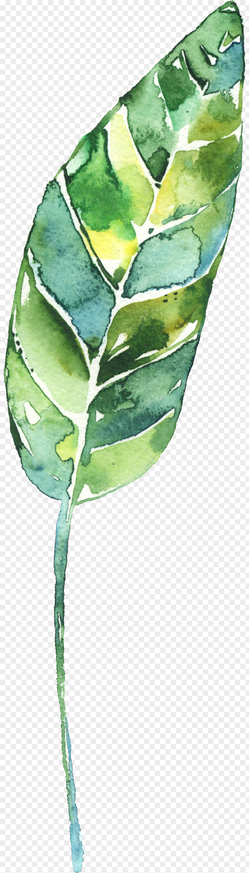 Celebration Flower Line Drawing Creative Watercolor Painting Leaf PNG
