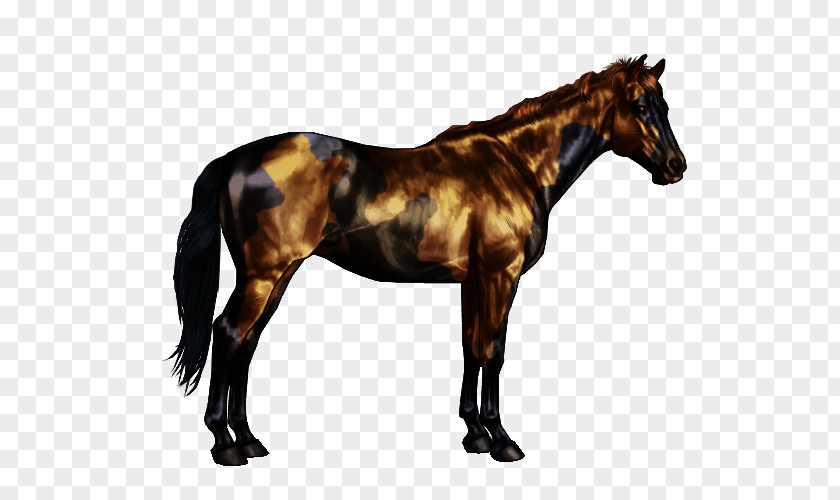 Chimera Oldenburg Horse American Paint Roan Bay Black PNG
