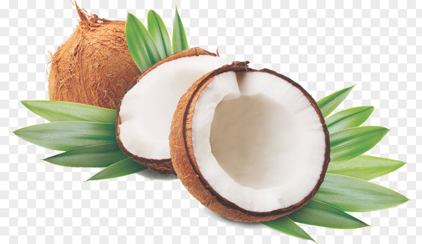 Coconut Organic Food Oil Olive PNG