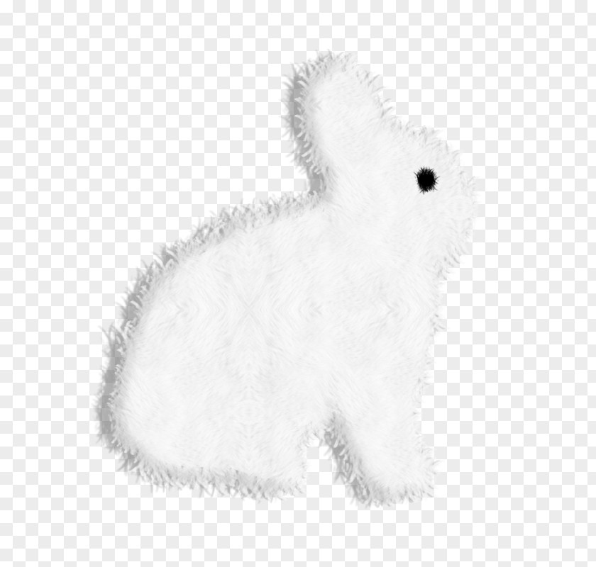Cute White Rabbit Domestic Hare Rat Whiskers Dog PNG