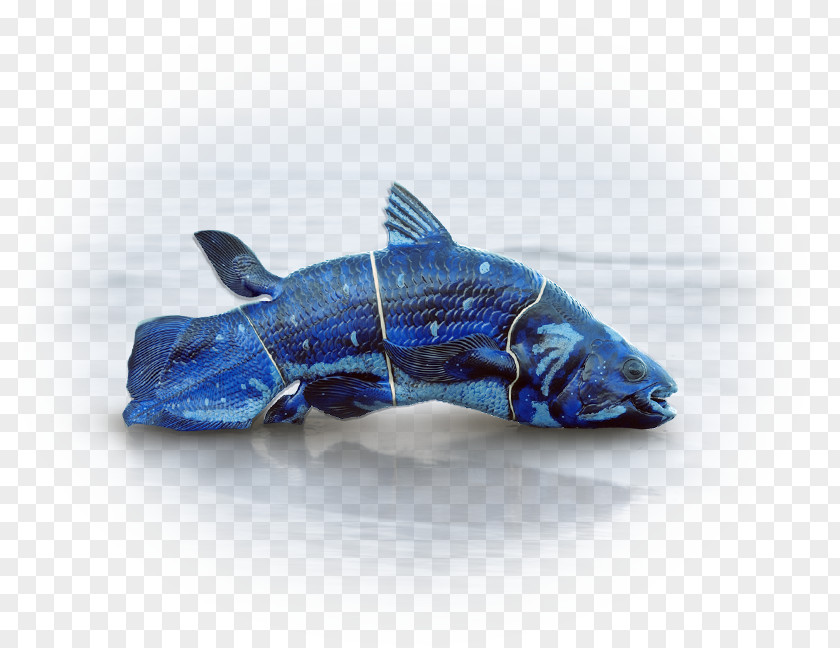 Dolphin Cobalt Blue Plastic PNG