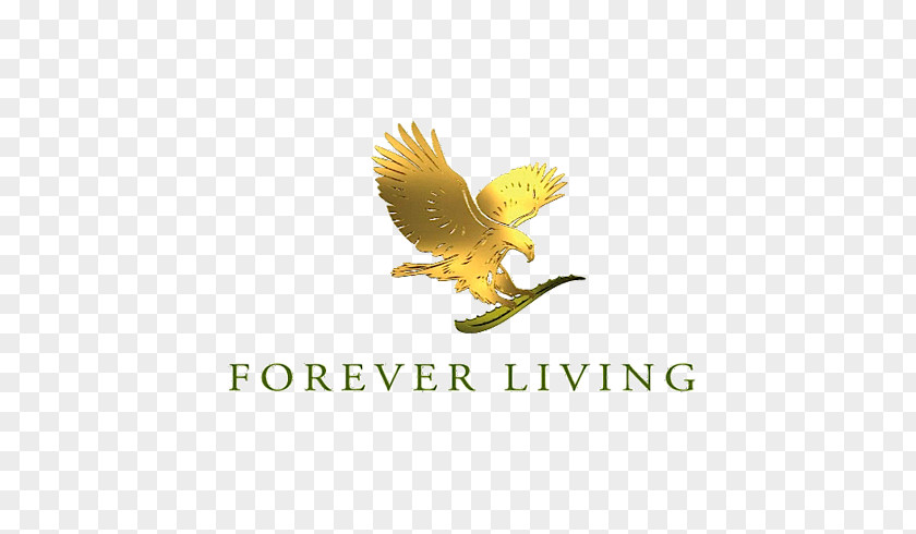 Forever Living Products MEDIA SECTOR Personal Care Amara Organics Aloe Vera Gel From Organic Cold Pressed Medifast PNG