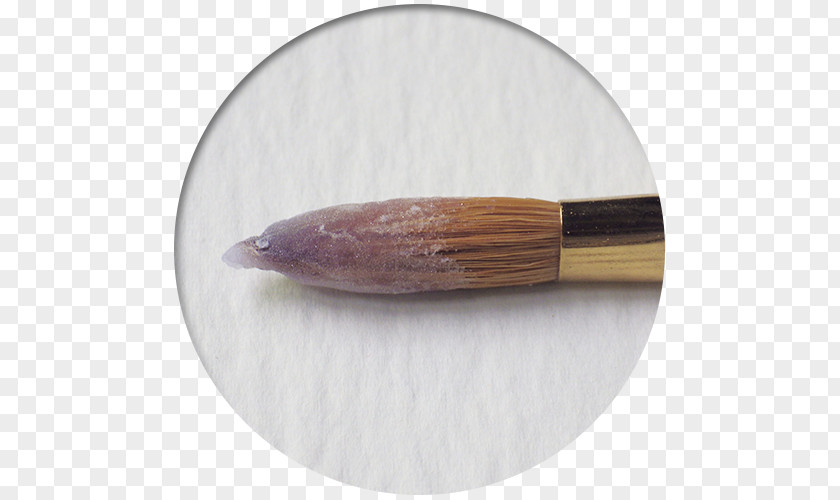 Ment USUI BRUSH 株式会社 Ink Brush /m/083vt Nail Art PNG