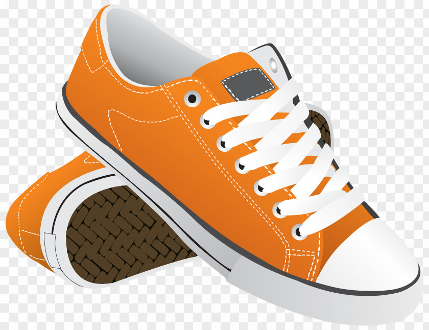 Shoe Sneakers PNG