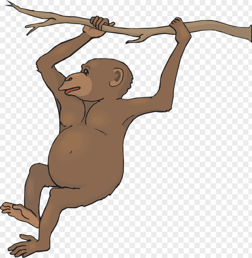 Monkey Hanging On A Branch Spider Black Howler Clip Art PNG