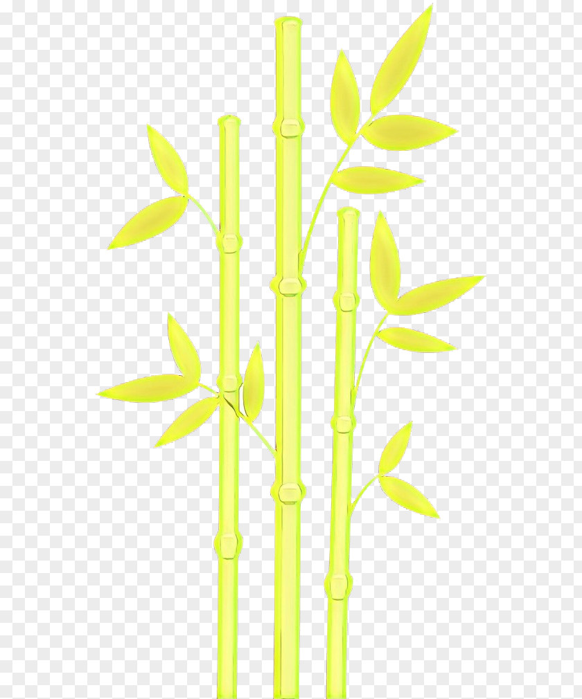 Twig Grass Family Bamboo Leaf PNG