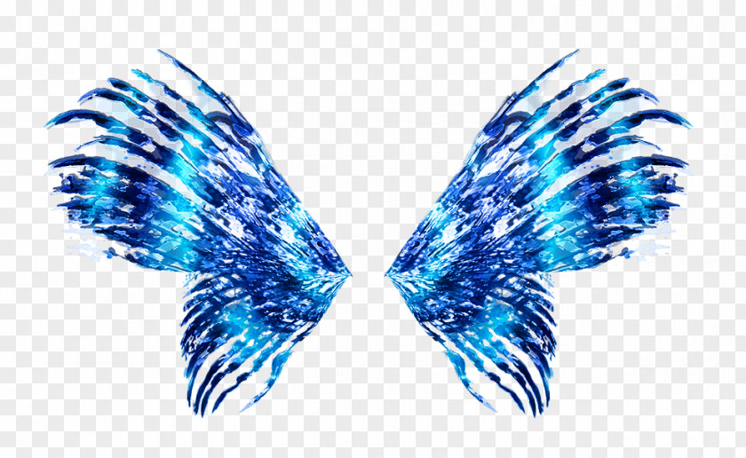 Fairy Wing Sirenix YouTube Tecna DeviantArt PNG