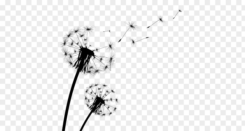 Fly Away Dandelion PNG away dandelion clipart PNG