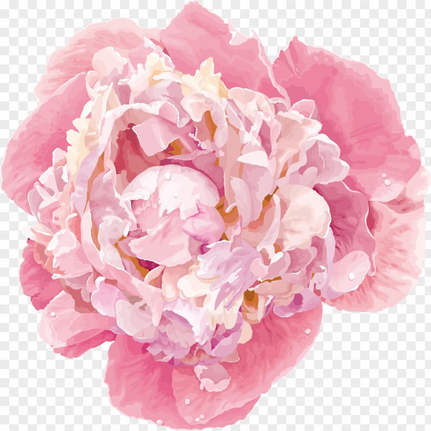 Peony Pink Ink PNG