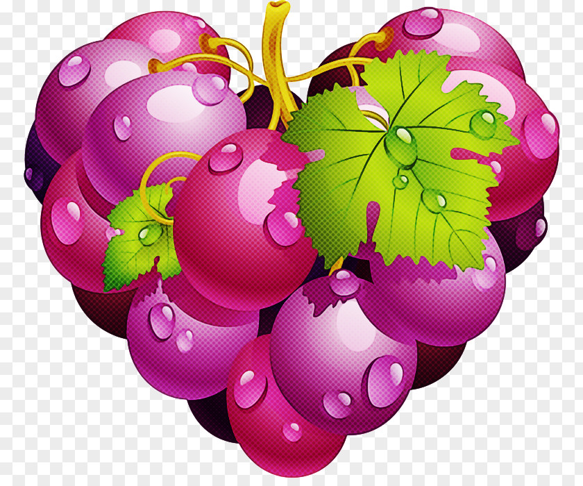 Purple Violet Pink Plant Magenta PNG