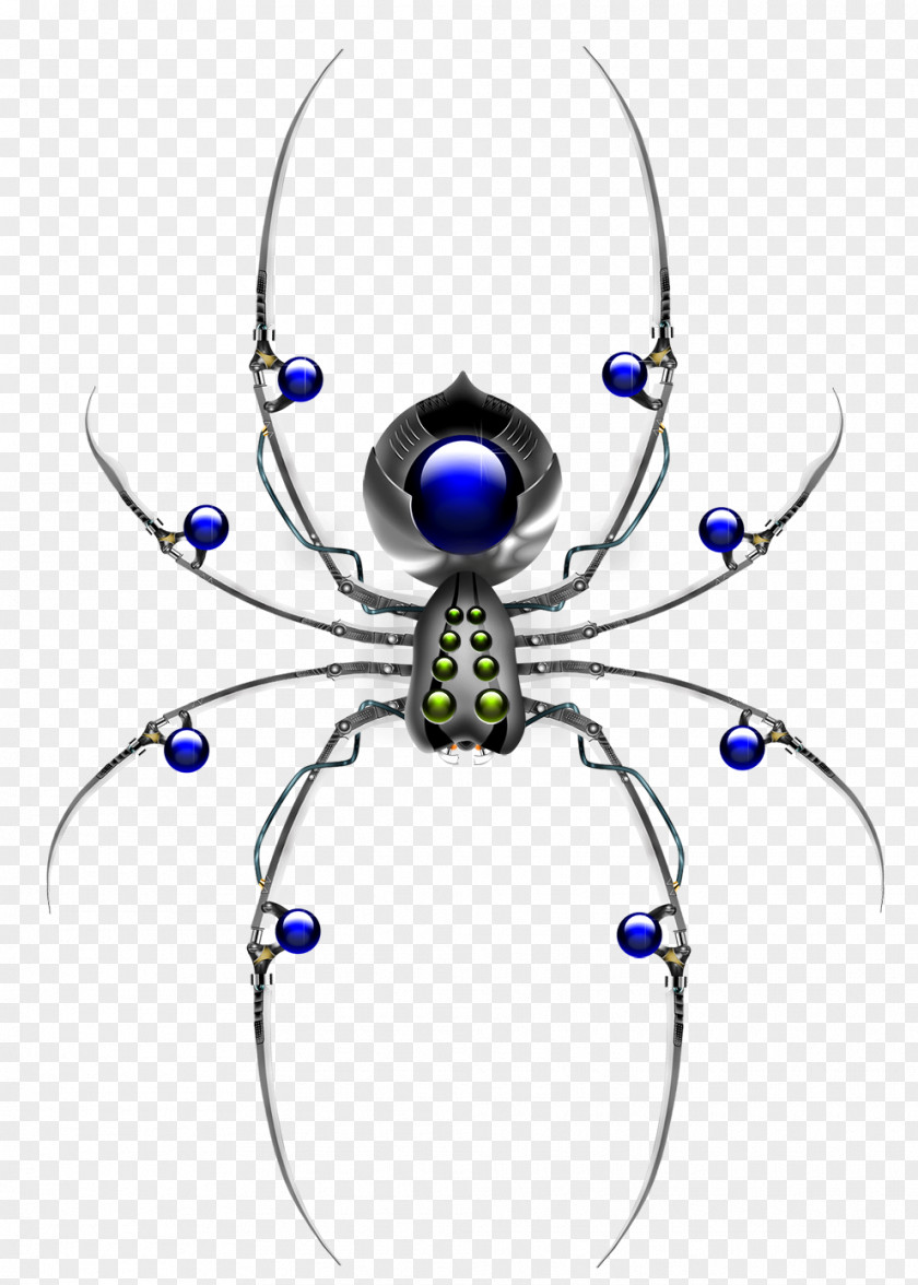 Spider Insect PNG