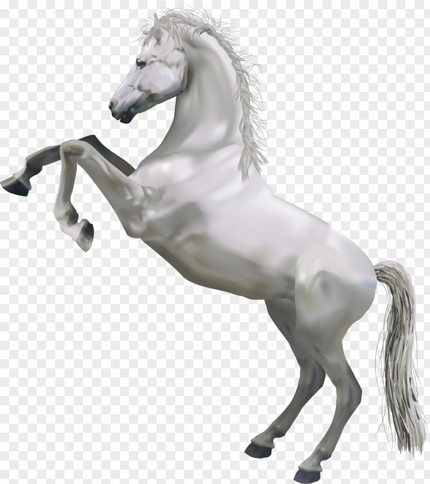Transparent White Horse Clip Art PNG