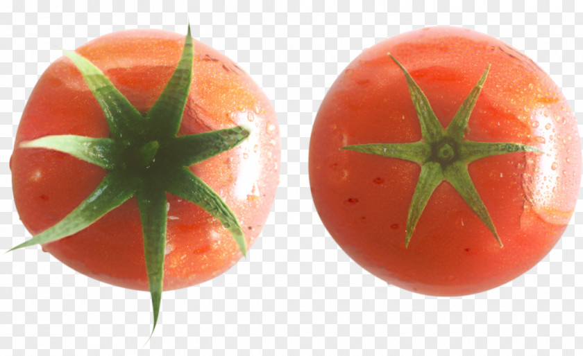 Vegetarian Food Nightshade Family Tomato Cartoon PNG