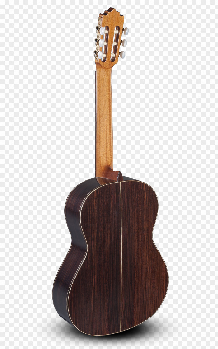 Acoustic Guitar Tiple Classical Acoustic-electric PNG